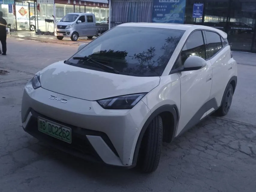 BYD 2023 Seagull Vitality Edition Automatic