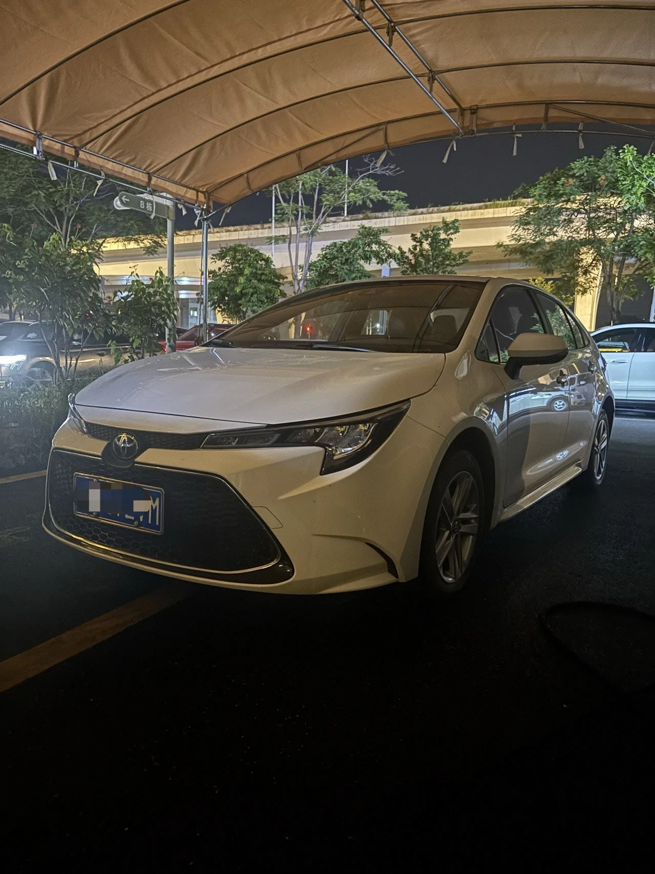 Levin 2022 185T CVT Luxury Edition