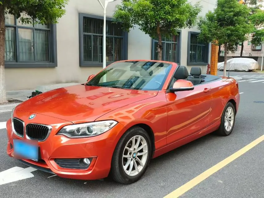 2015 BMW 2 Series 218i Convertible