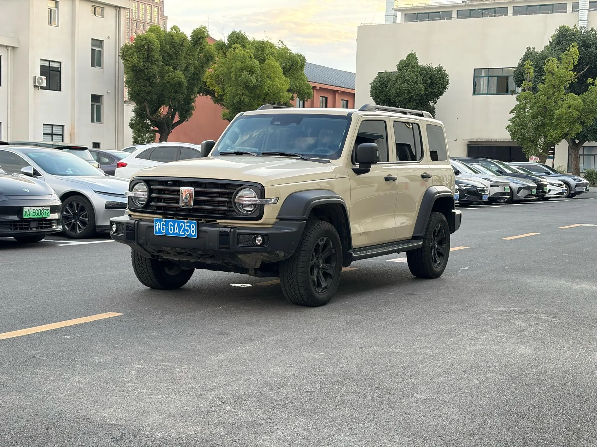 Tank 300 2.4T Diesel Automatic (2025 Model)