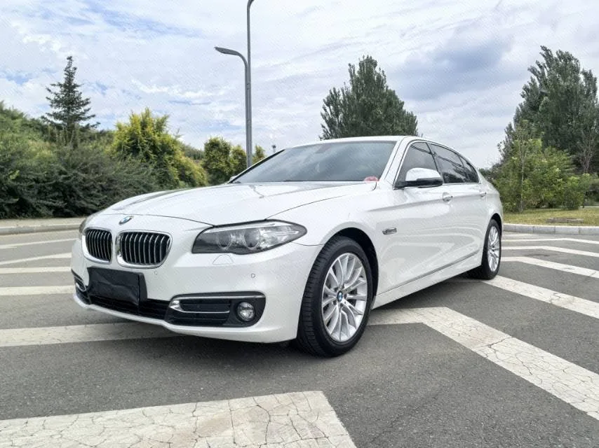 2014 BMW 5 Series 525Li Luxury Design Package