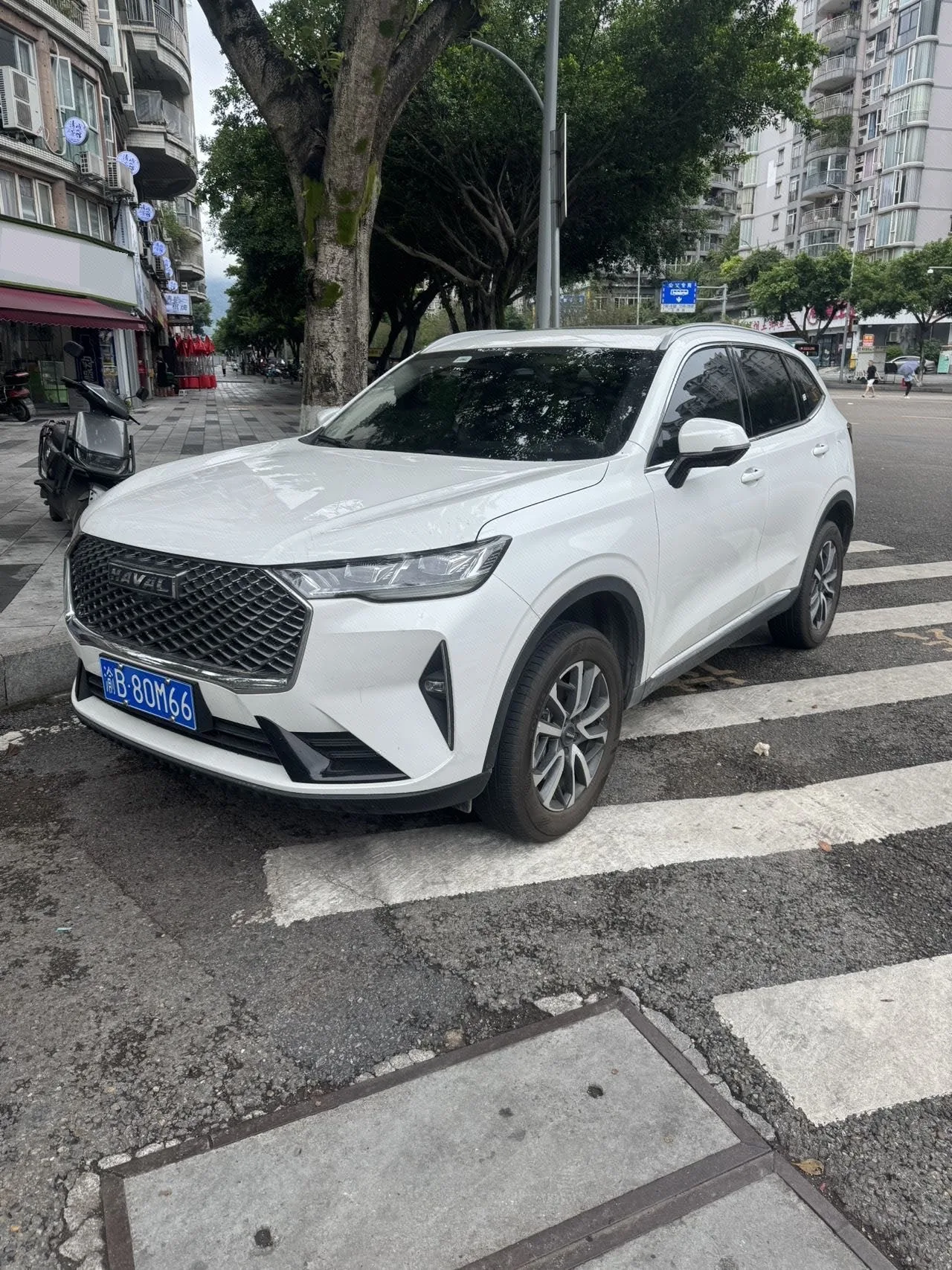 Haval 2024 H6 1.5T 2WD Pro Automatic