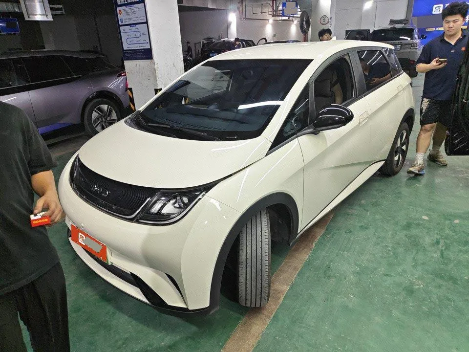 BYD 2025 Dolphin 420km Freedom Edition Automatic
