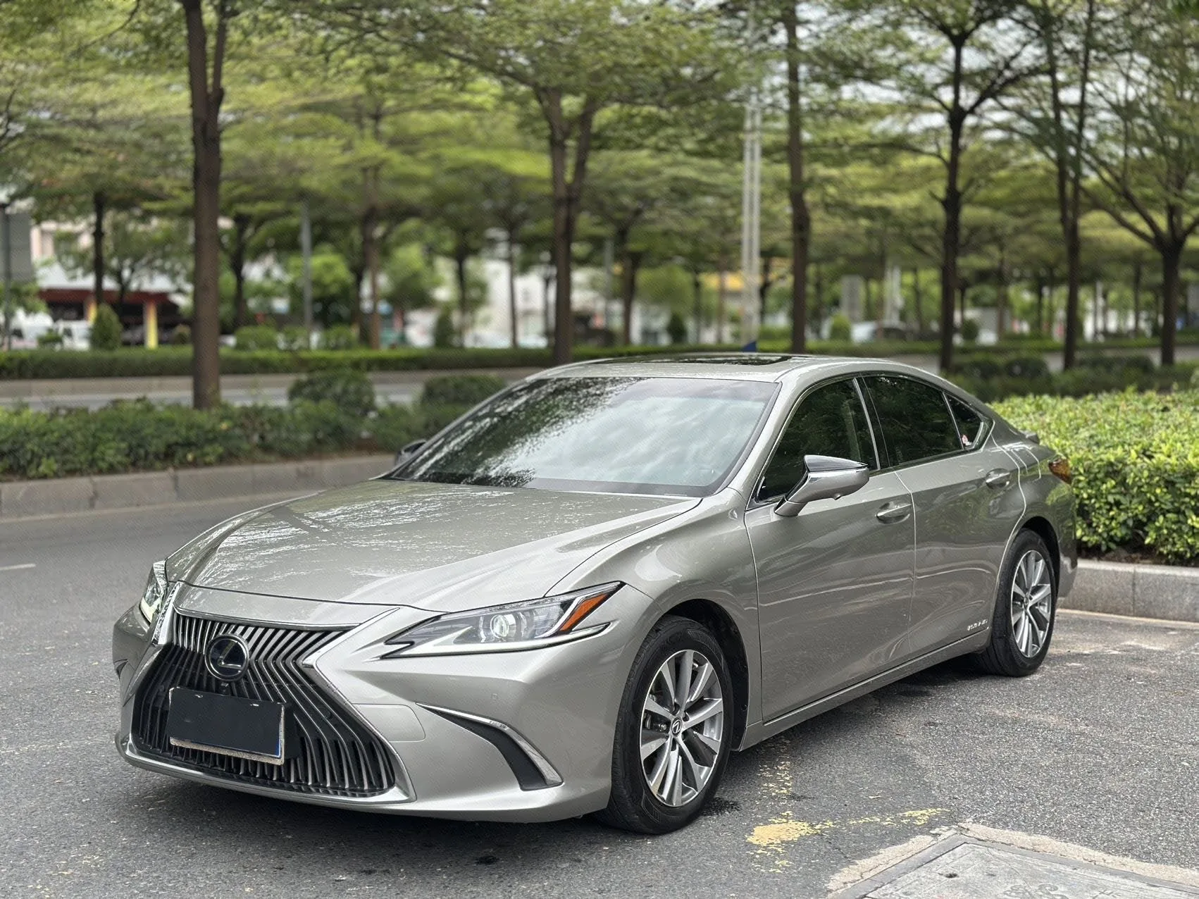 Lexus ES 2018 300h Premium Edition (China V Emission Standard)