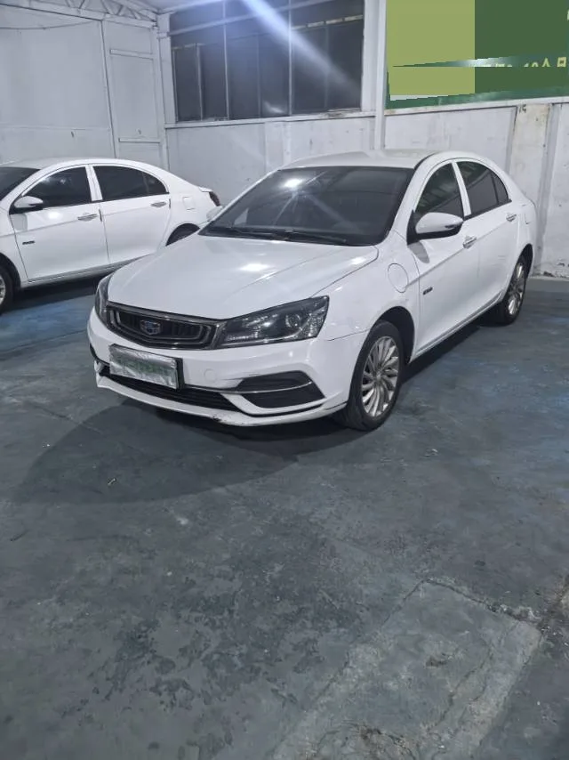 Geely Emgrand EV500 Progressive Standard Range 2019