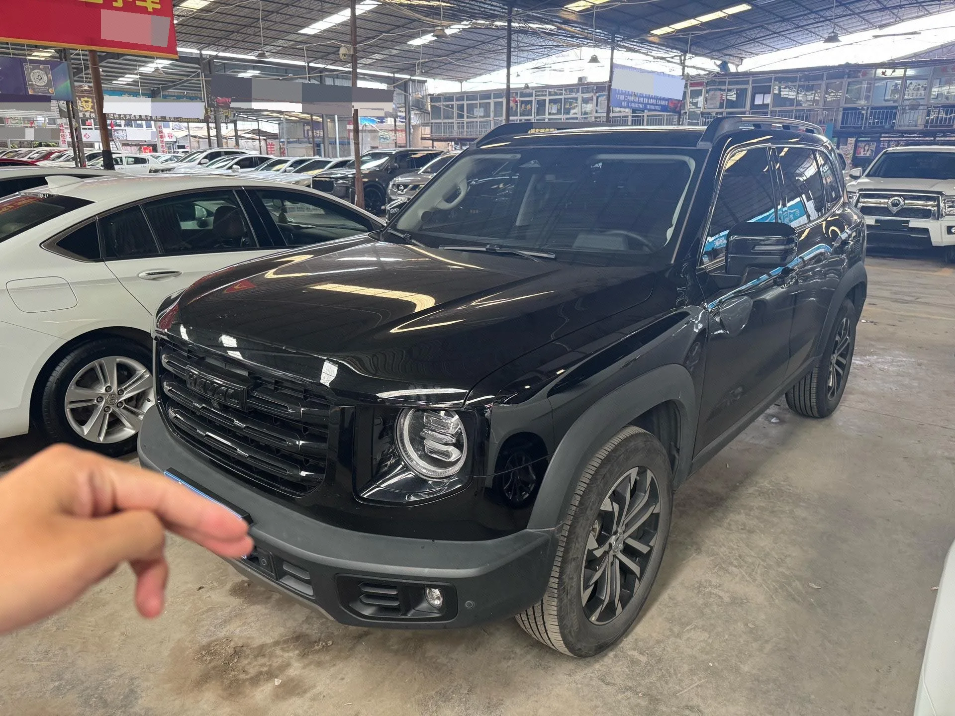 Haval Big Dog 2022 1.5T DCT 2WD Border Collie Edition