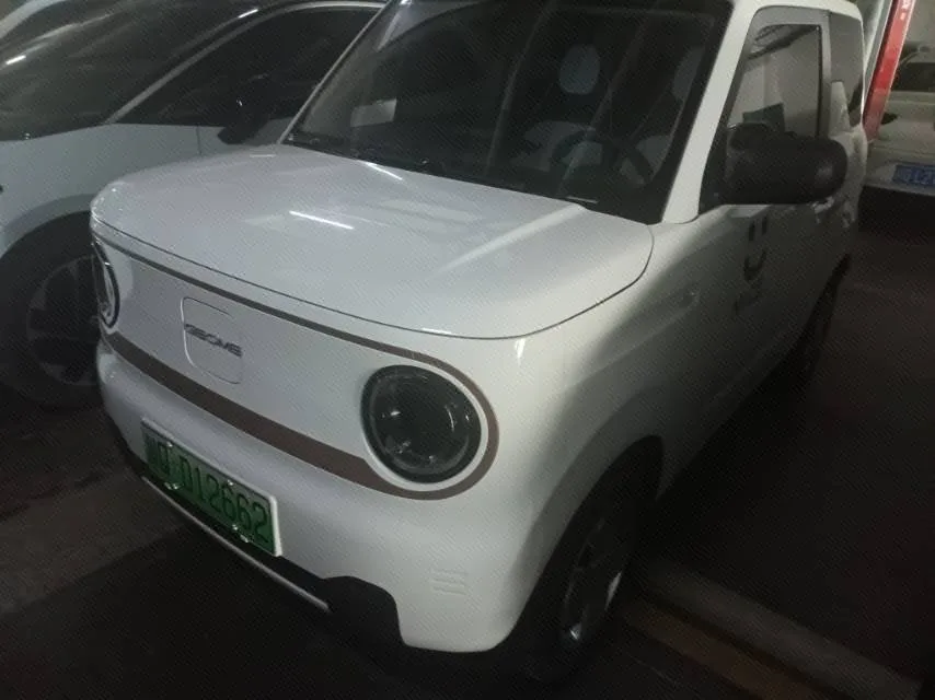 Panda 2023 Panda Mini 200km Endurance Bear
