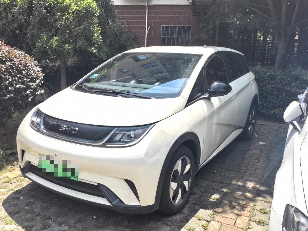 BYD 2025 Dolphin 420km Freedom Edition Automatic