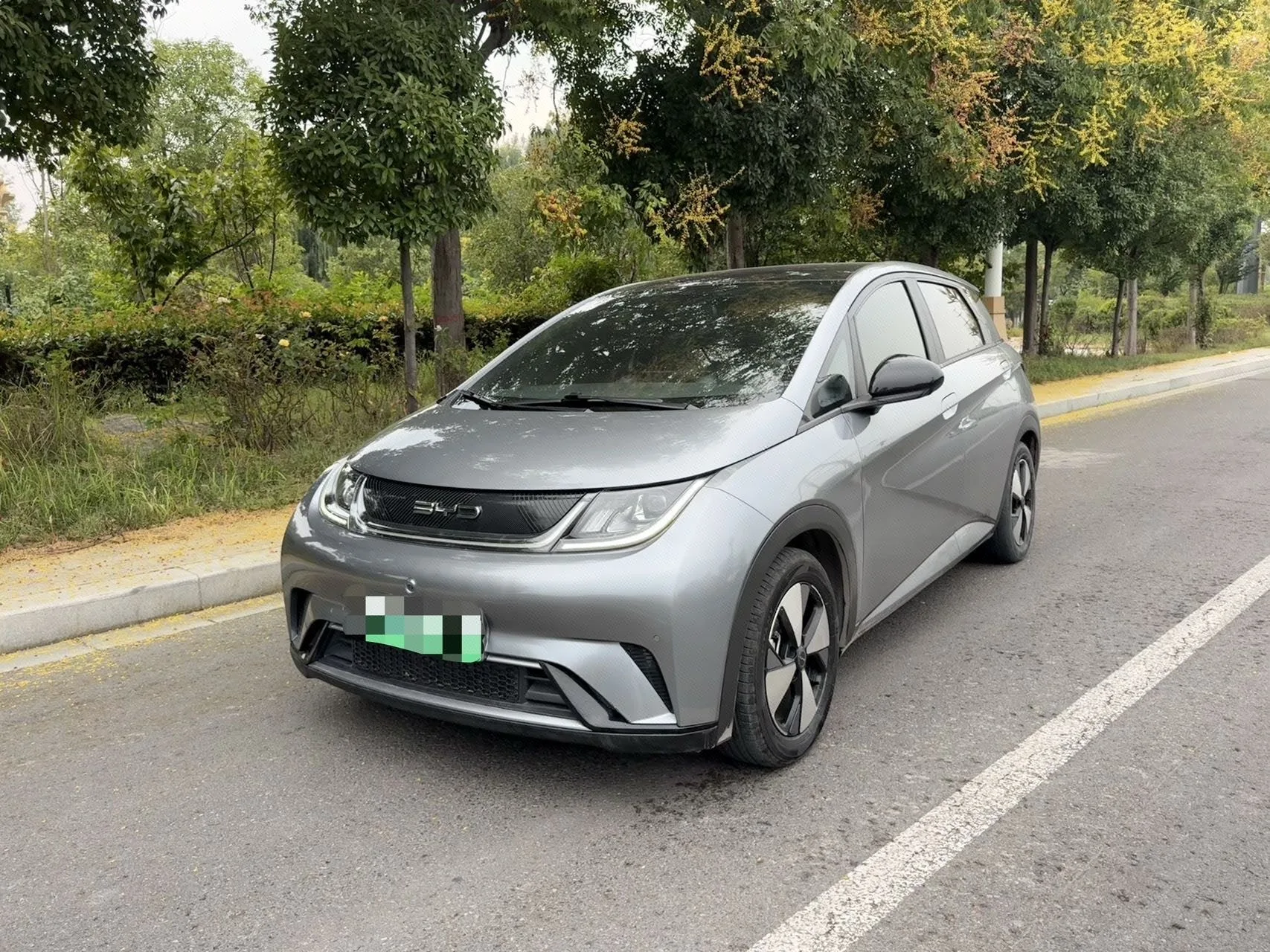 BYD 2023 Dolphin 401km Knight Edition Automatic
