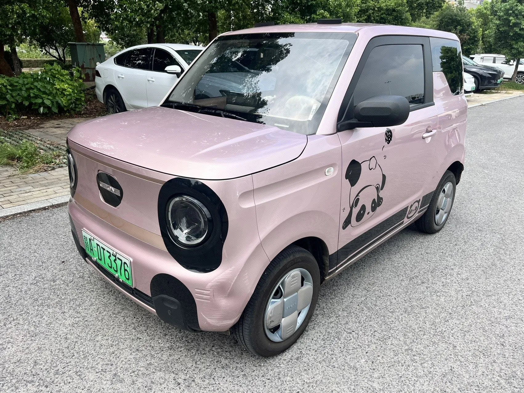 Geely 2025 Panda MINI 210km Panda Go-Kart Automatic