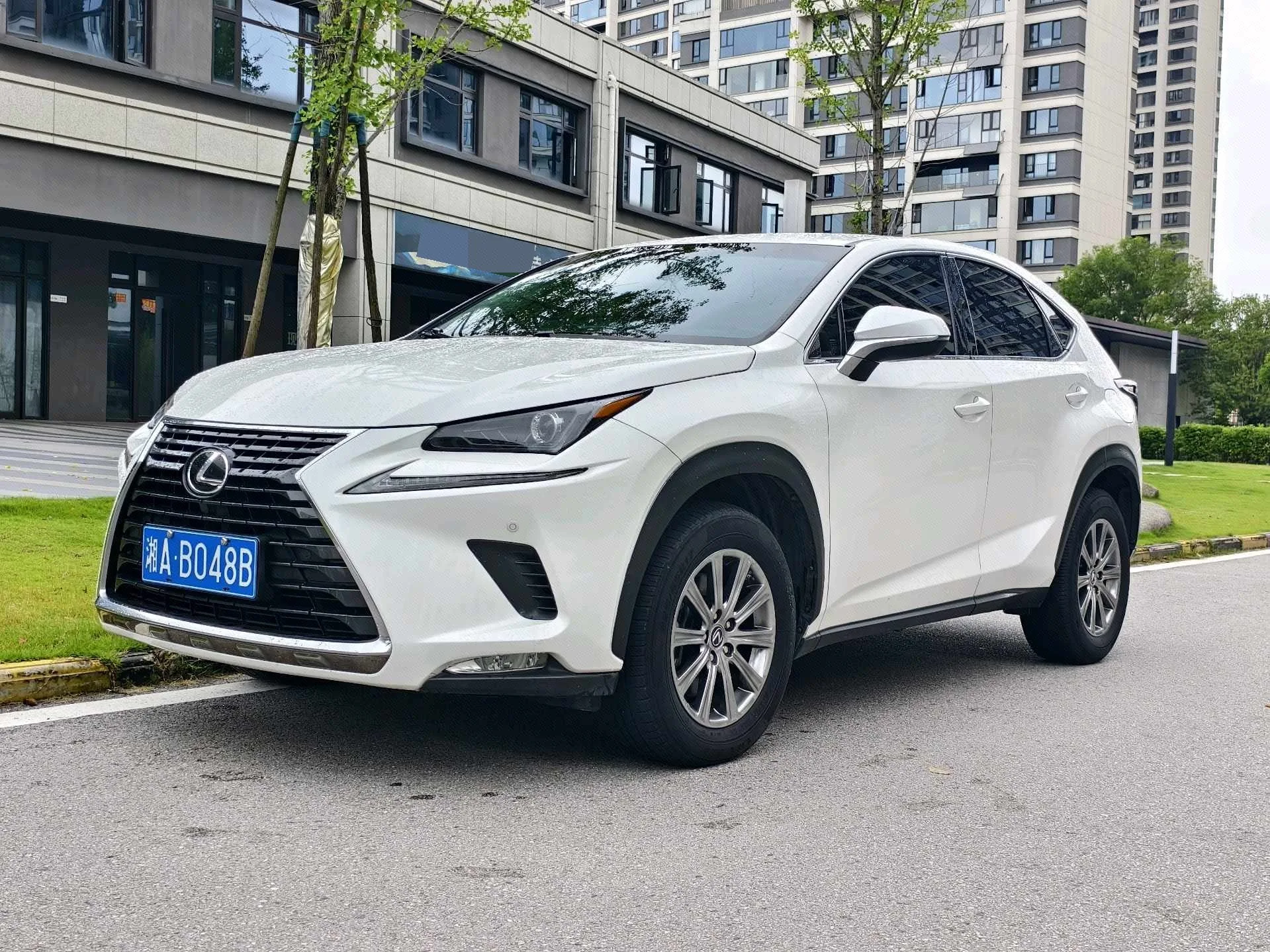 2020 Lexus NX 200 FWD "Fengxing" Edition, China V Emission Standard