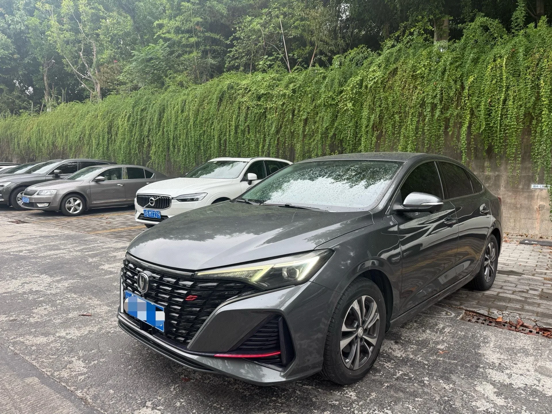 Changan Eado 2022 PLUS Blue Whale NE 1.4T GDI DCT Premium Edition