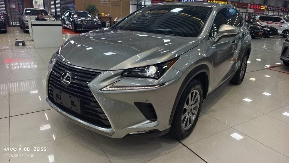 2020 Lexus NX 200 FWD "Fengxing" Edition, China V Emission Standard