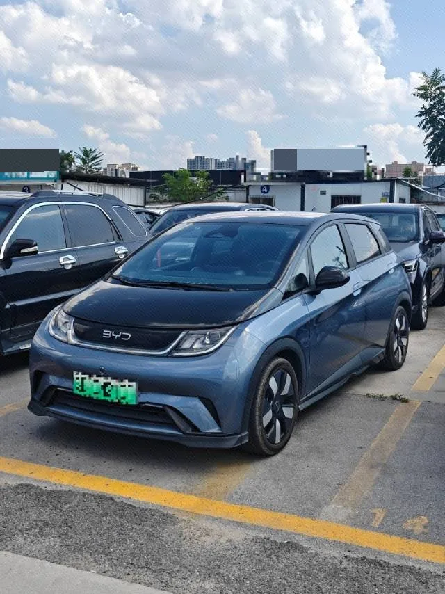 BYD 2025 Dolphin 520km/h Knight Edition Automatic