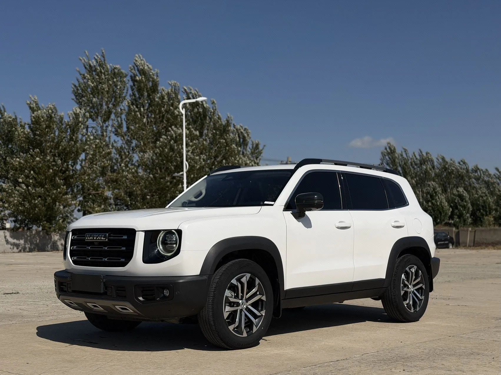 Haval Big Dog 2022 1.5T DCT 2WD Border Collie Edition