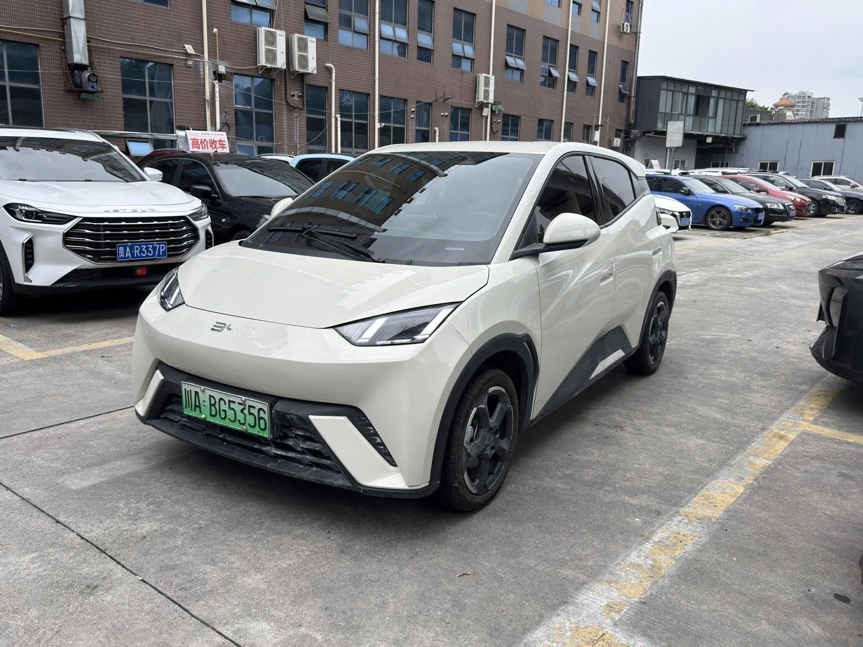 BYD 2024 Seagull Glory Edition 305km/h Freedom Edition Automatic Transmission