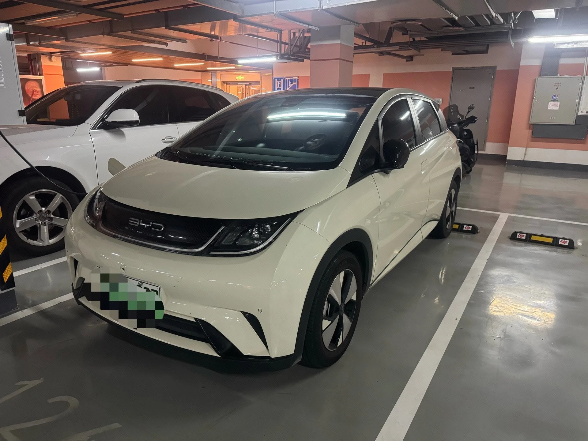 BYD 2023 Dolphin 420km Fashion Edition Automatic