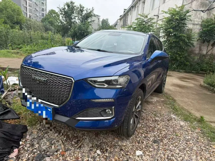 2019 Haval F5 "National Trend" Edition 1.5T i-Trend (National V)