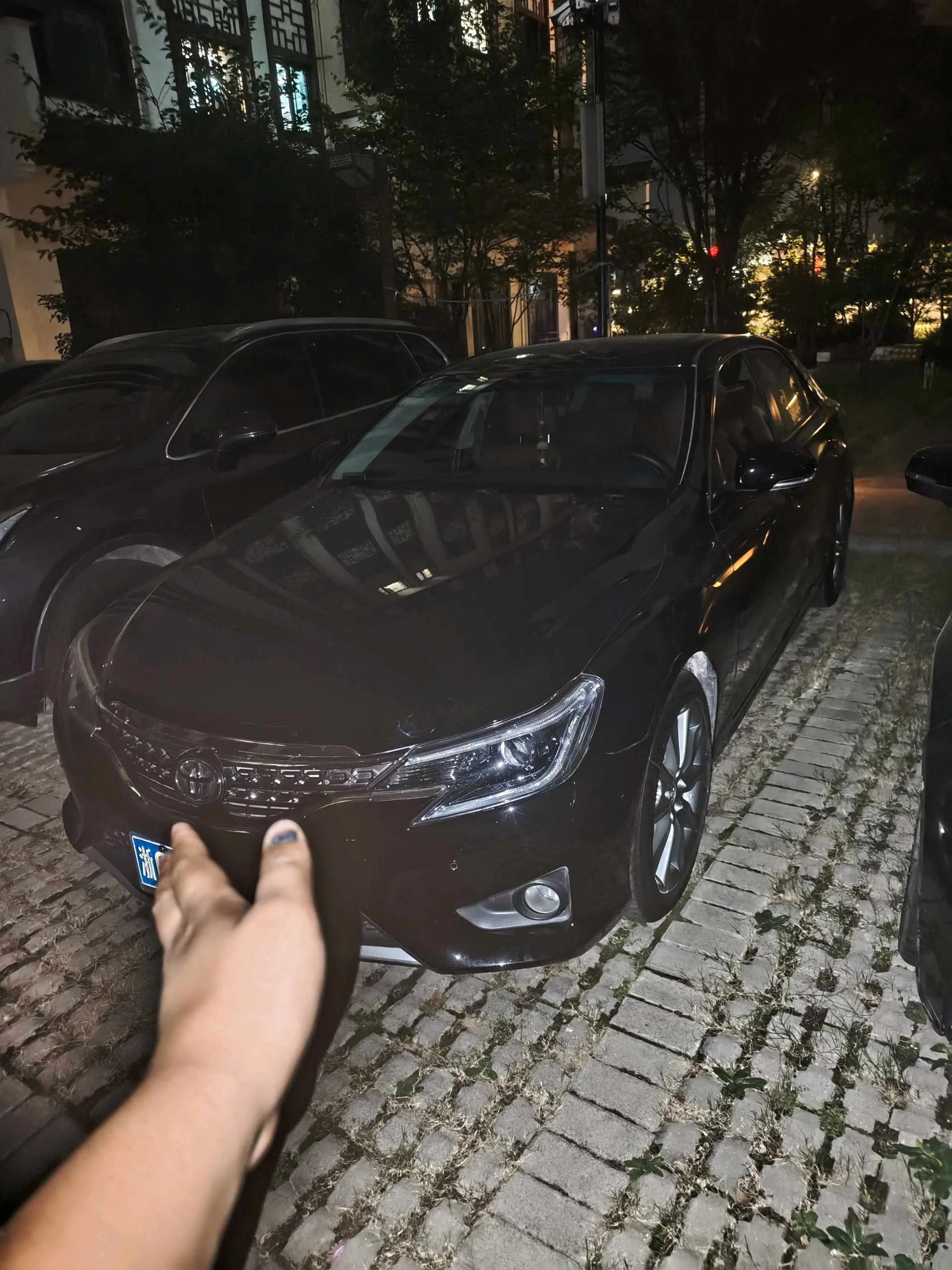 Reiz 2013 2.5S Elite Edition