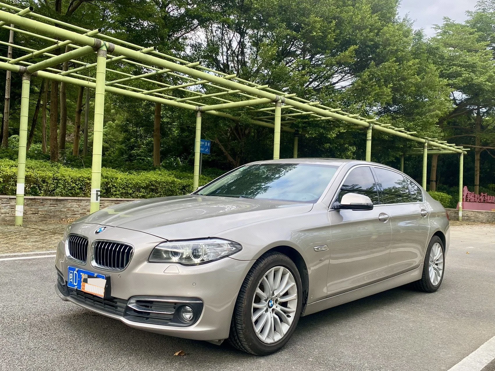 2014 BMW 5 Series 525Li Luxury Design Package