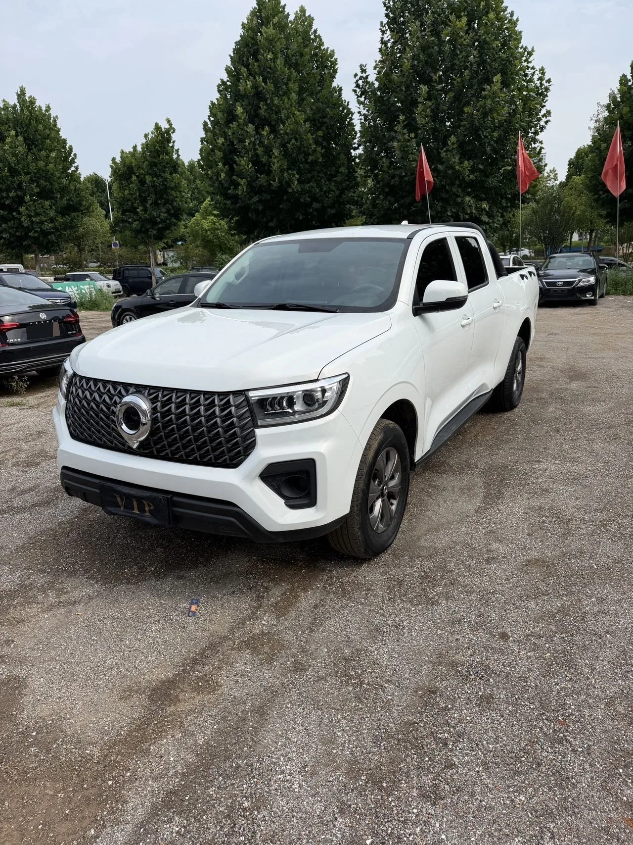 Great Wall 2025 Pao 2.0T Commercial Pao Diesel 4WD Cold-Weather Edition, Automatic Transmission