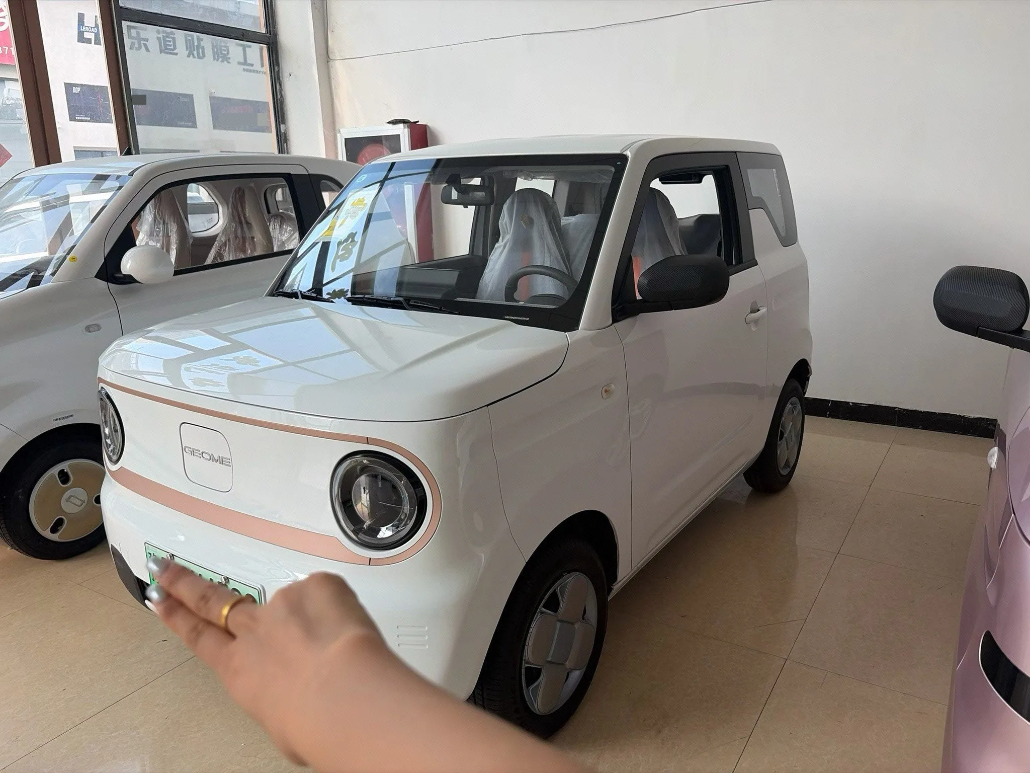 Panda 2024 Panda Mini 200km Endurance Bear