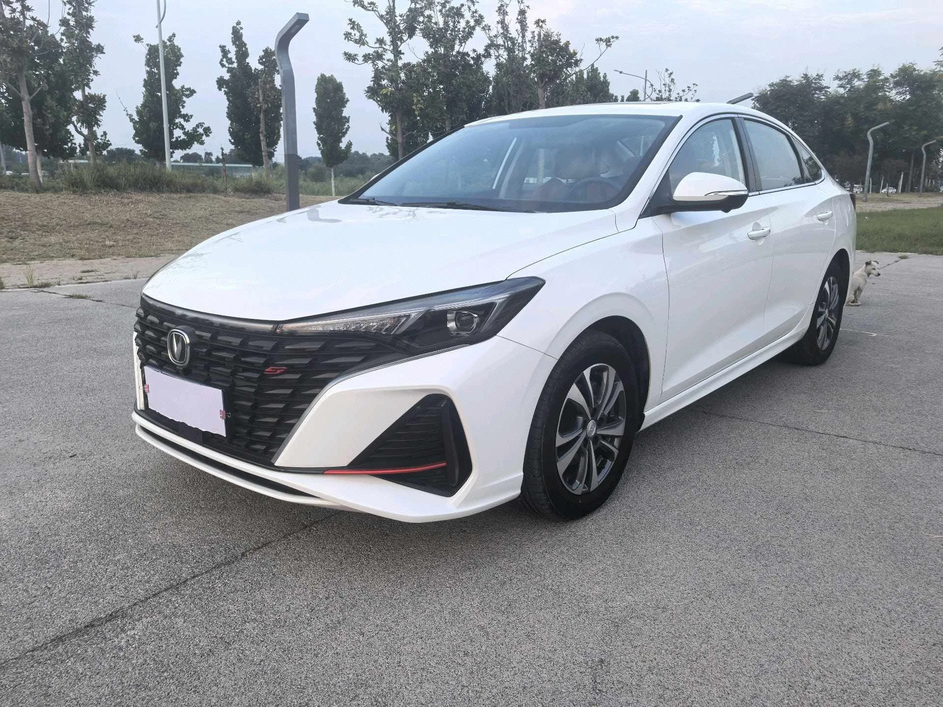 Changan Eado 2022 PLUS Blue Whale NE 1.4T GDI DCT Premium Edition