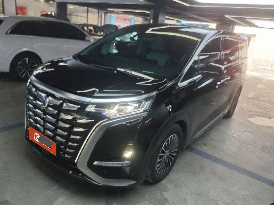 Denza D9 2024 DM-i 1050 Premium Edition