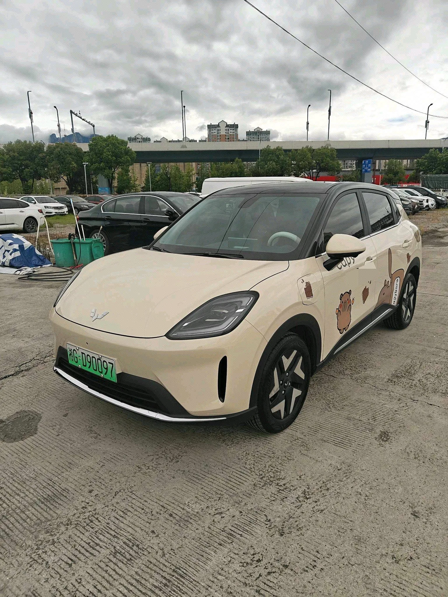 Binguo S 2025 Model, 325 km Range, Flagship Edition