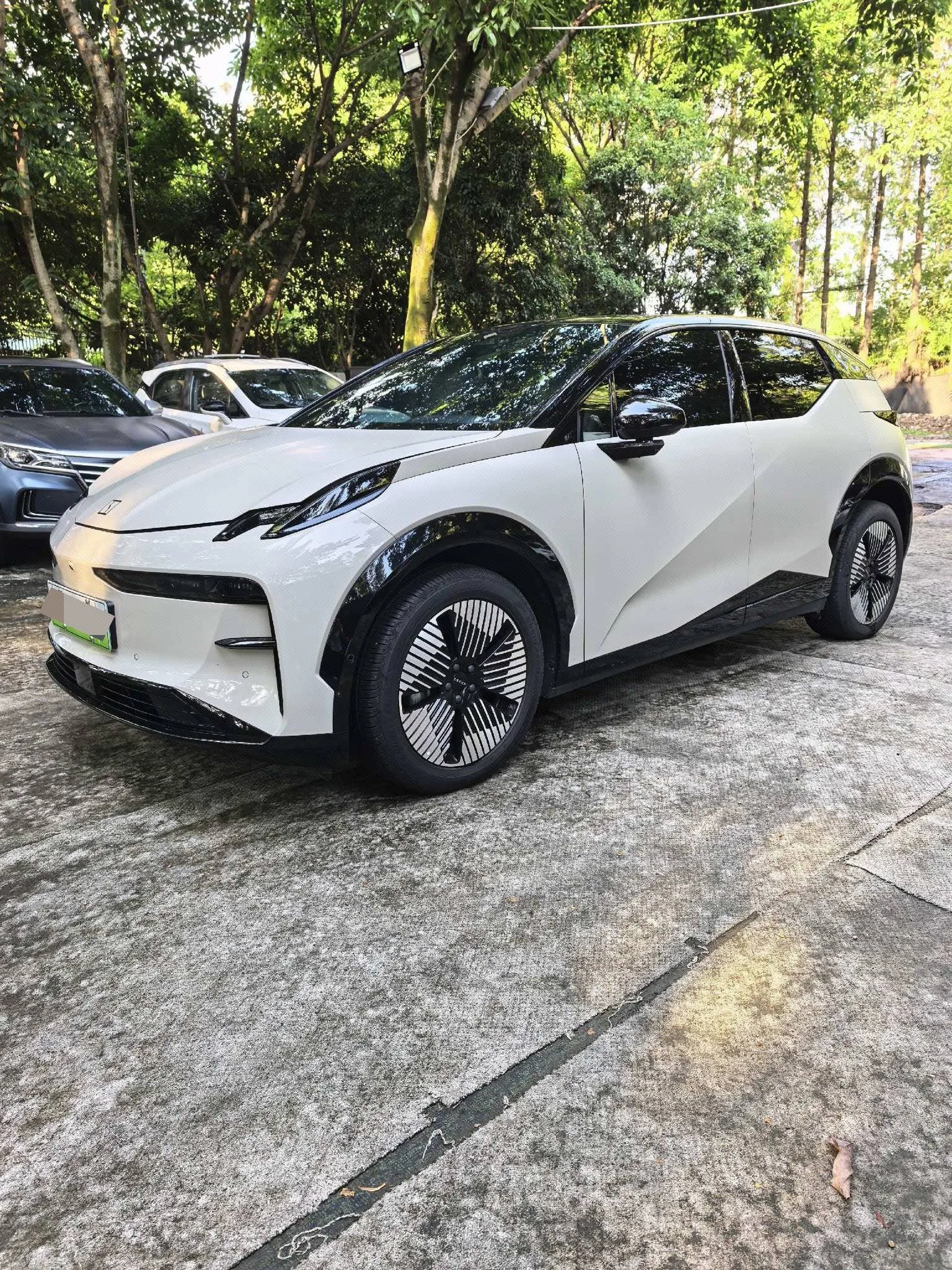 Zeekr X 2023 Rear-Wheel Drive YOU Edition 4-Seater