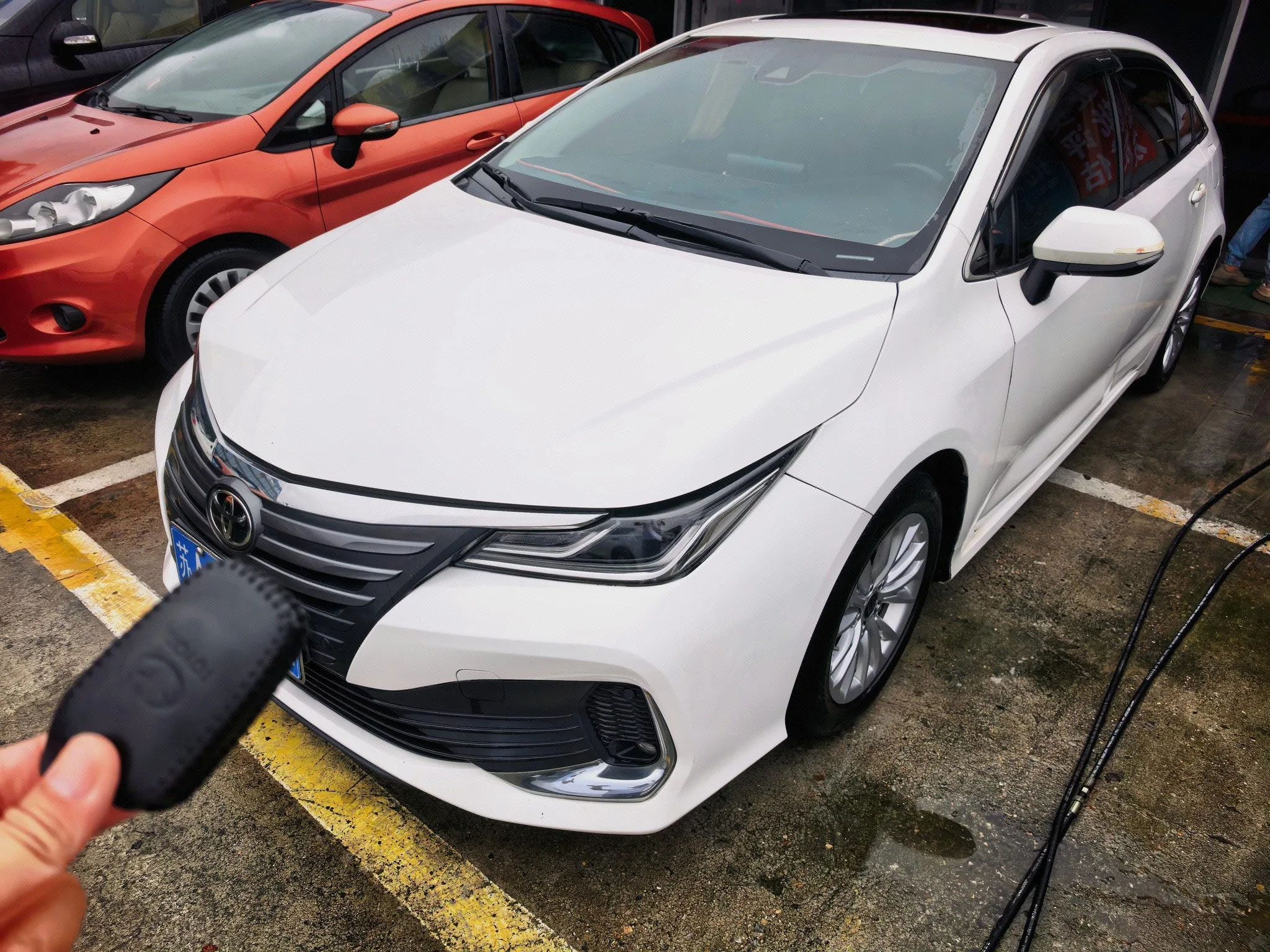 Asian Lion 2022 Model Year 2.0L Premium Edition