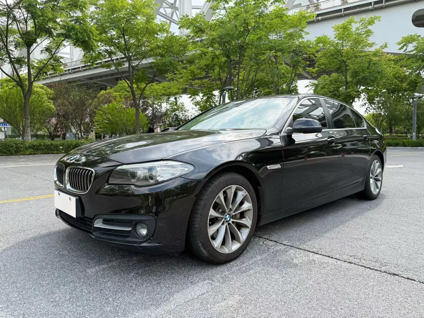 2014 BMW 5 Series 528Li Leading Edition
