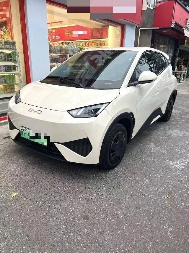 BYD 2025 Seagull Smart Driving Edition 305km Freedom Edition Automatic Transmission