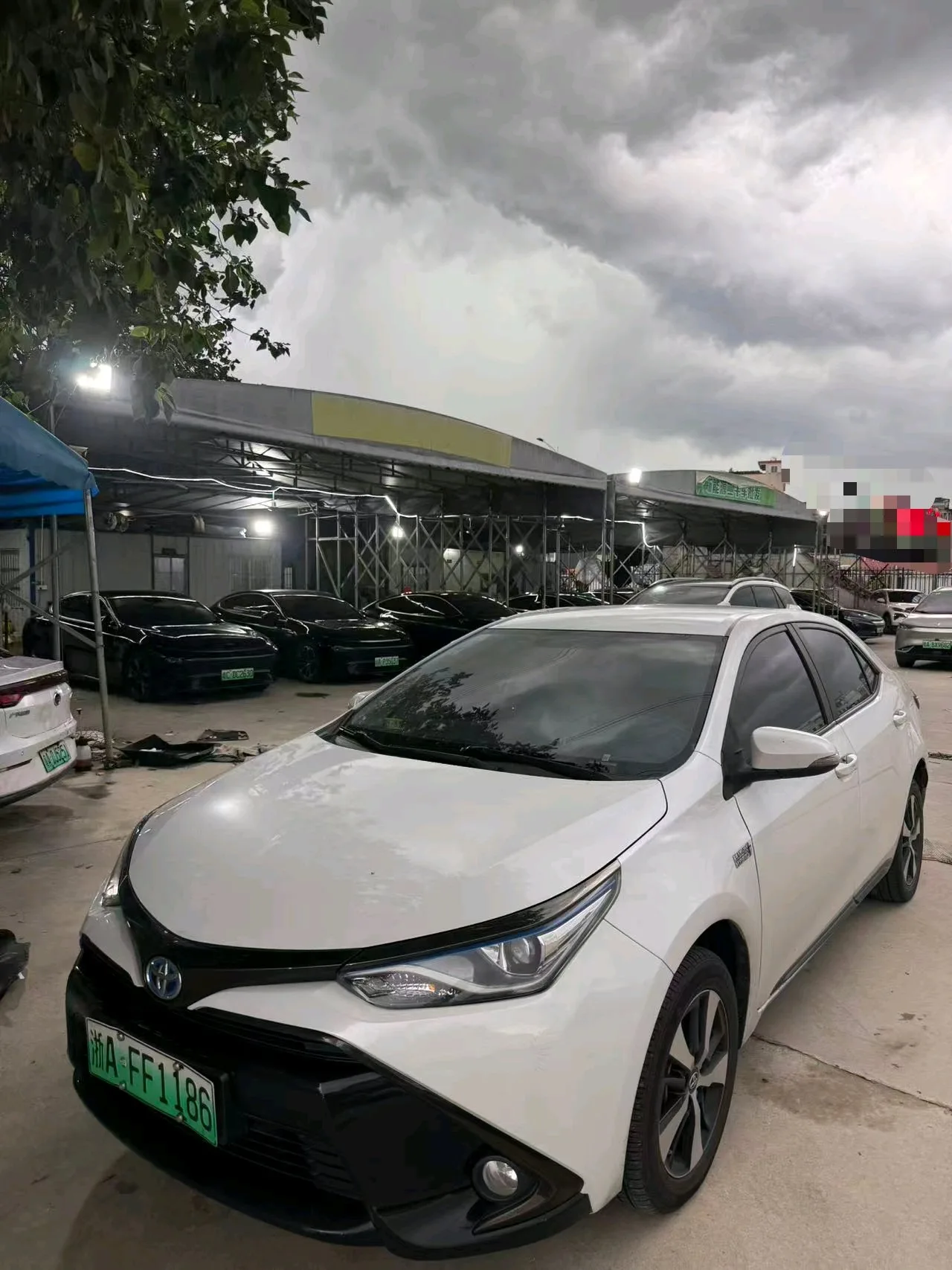 2019 Corolla Hybrid E+ 1.8PH V E-CVT Luxury Edition