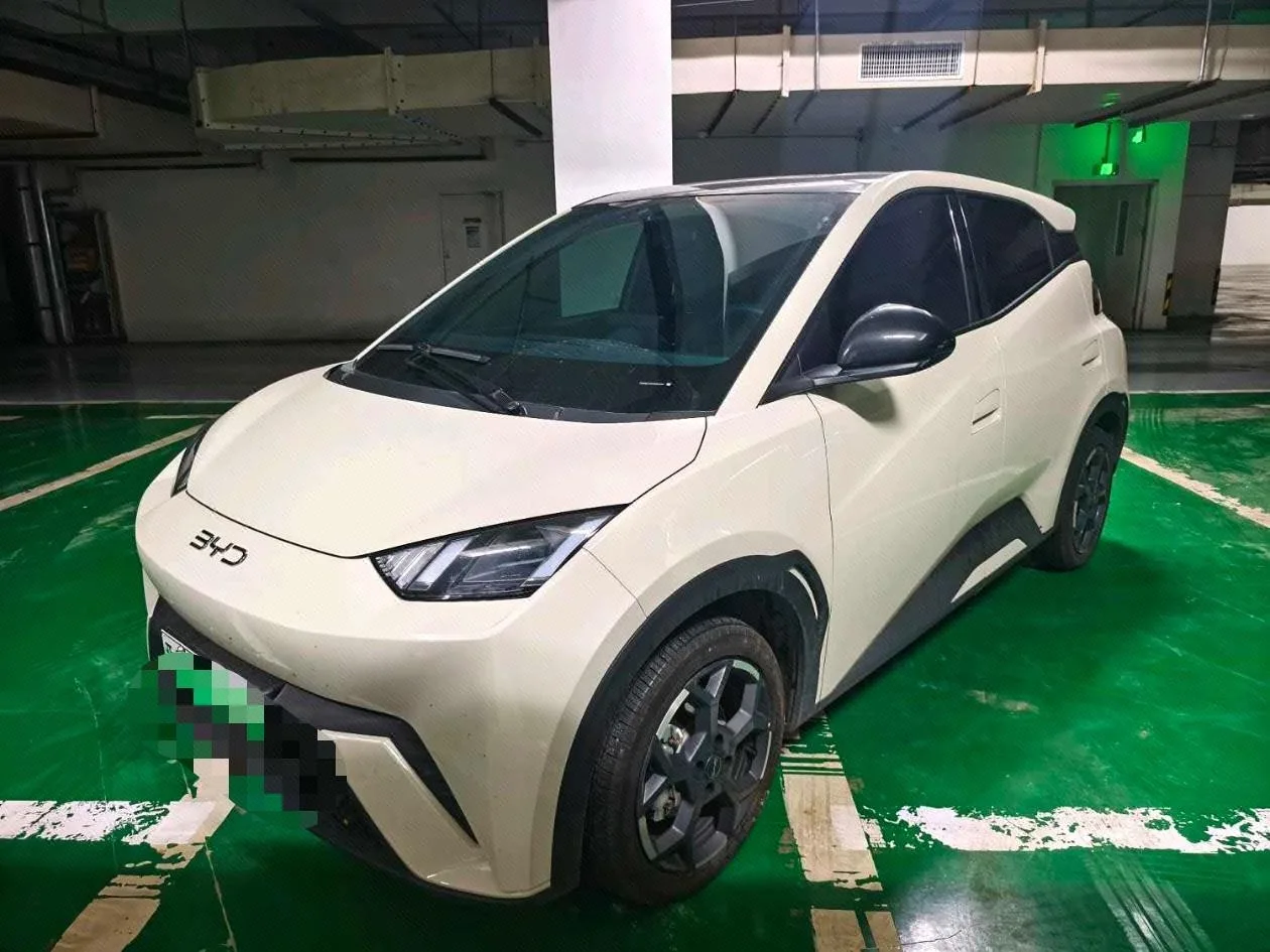 BYD 2025 Seagull 305km/h Freedom Edition Automatic