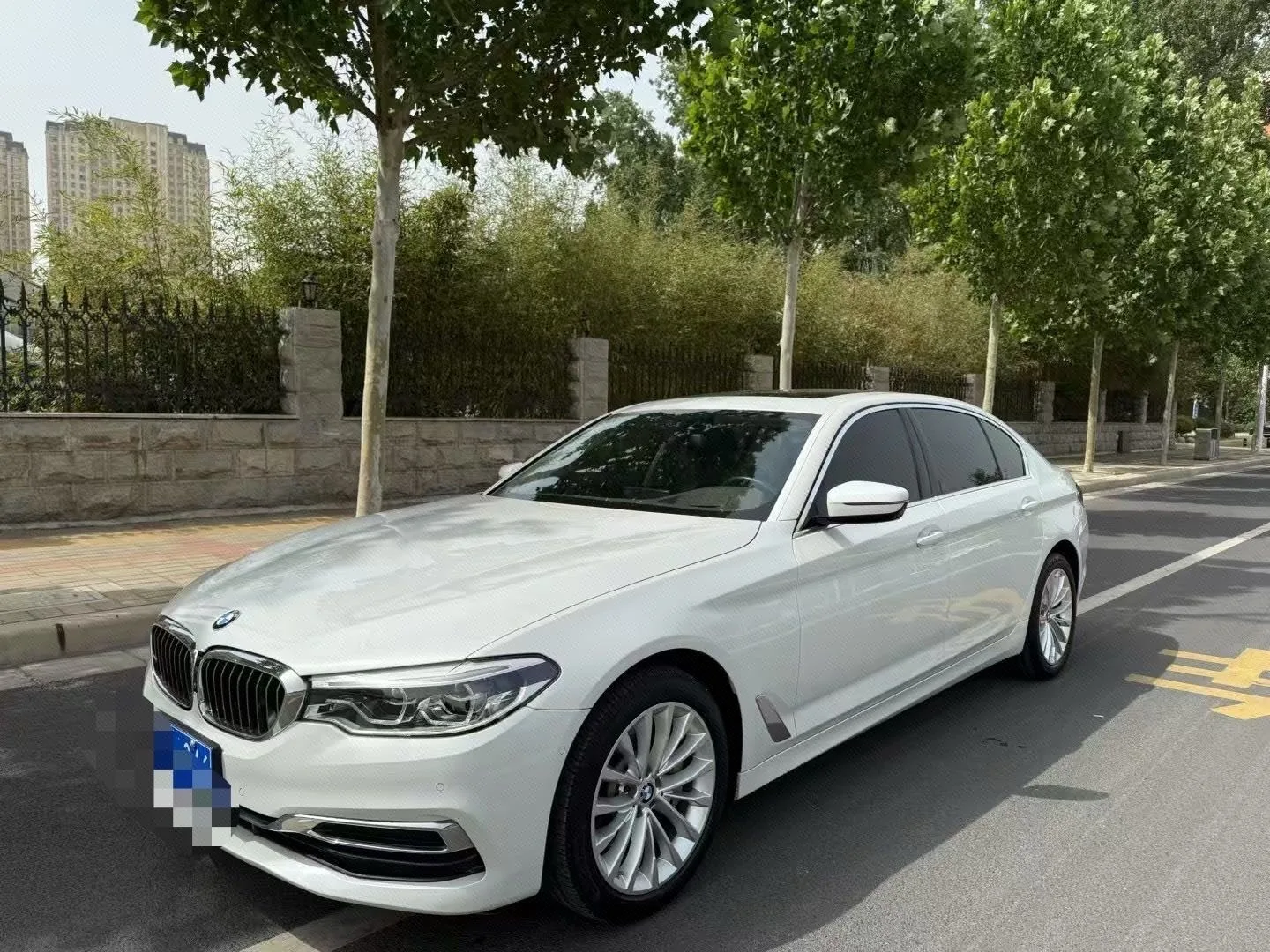 BMW 5 Series 2020 530Li Luxury Package