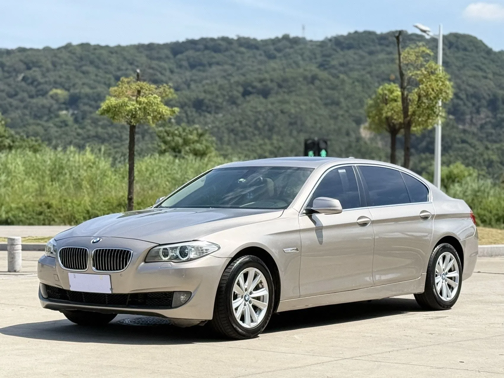 2013 BMW 5 Series 525Li Leading Edition