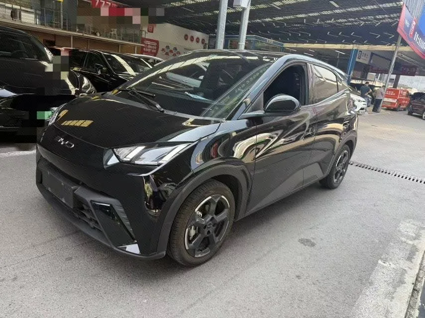 BYD 2023 Seagull Freedom Edition Automatic