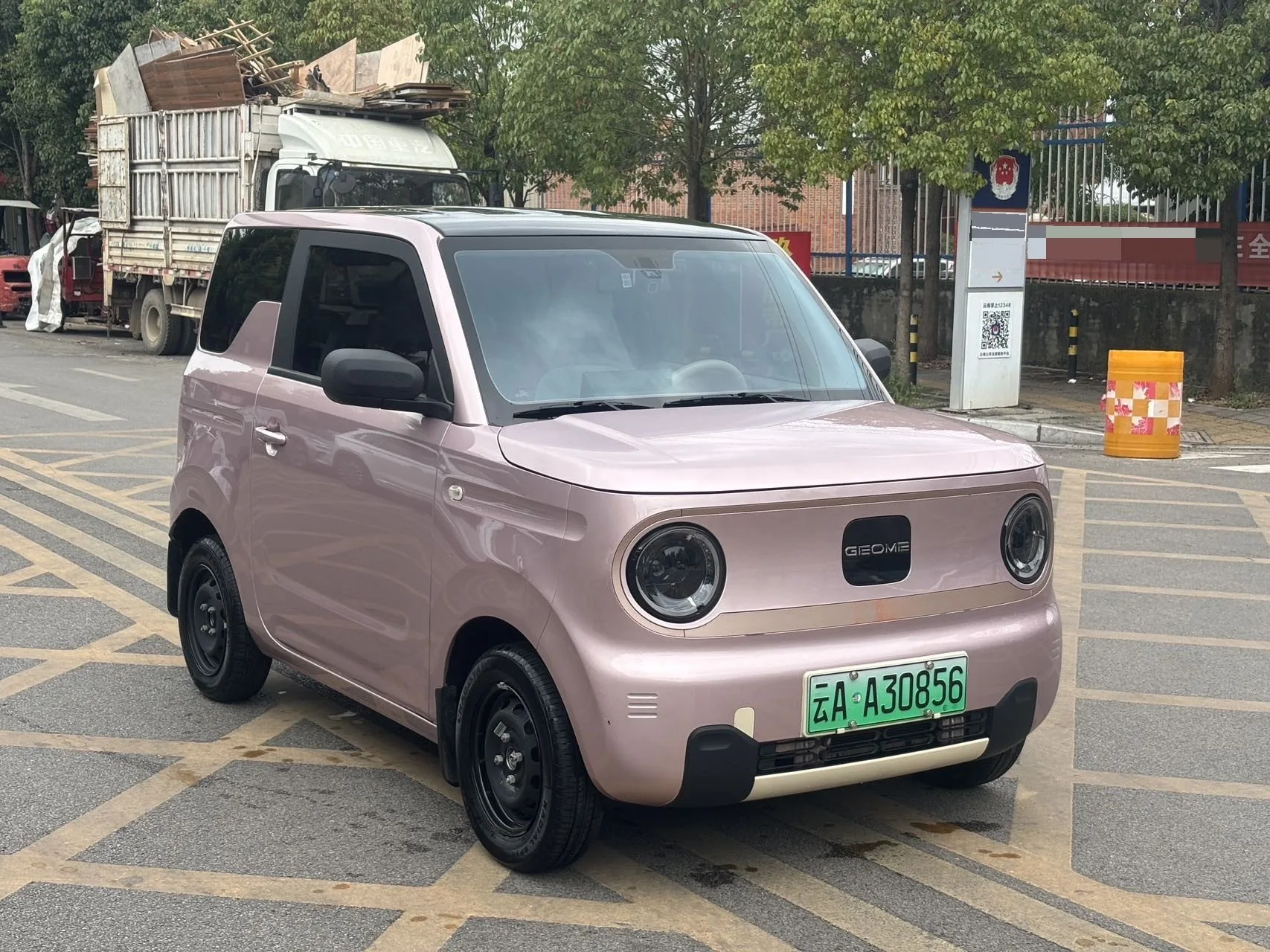 Panda 2023 Panda Mini 200km Endurance Bear