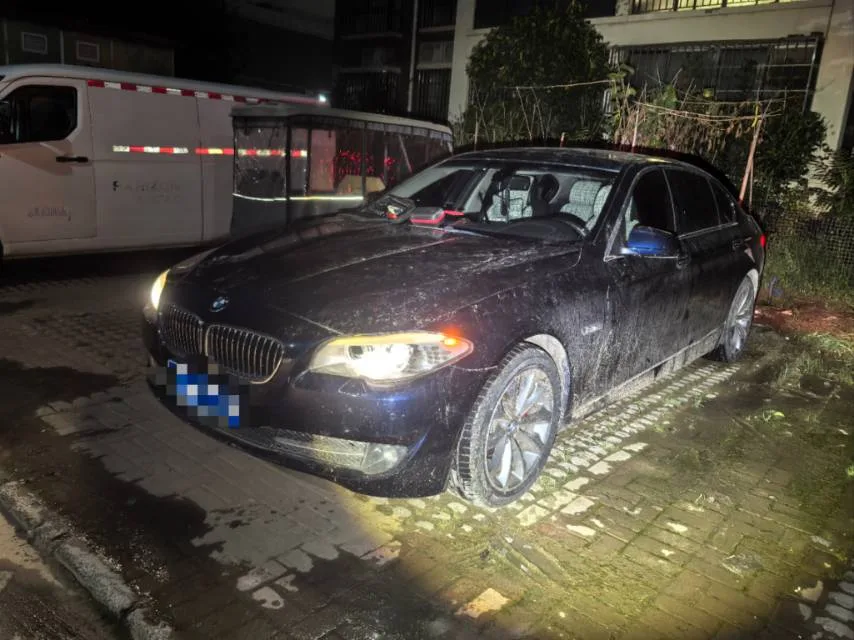 2011 BMW 5 Series 528Li Luxury