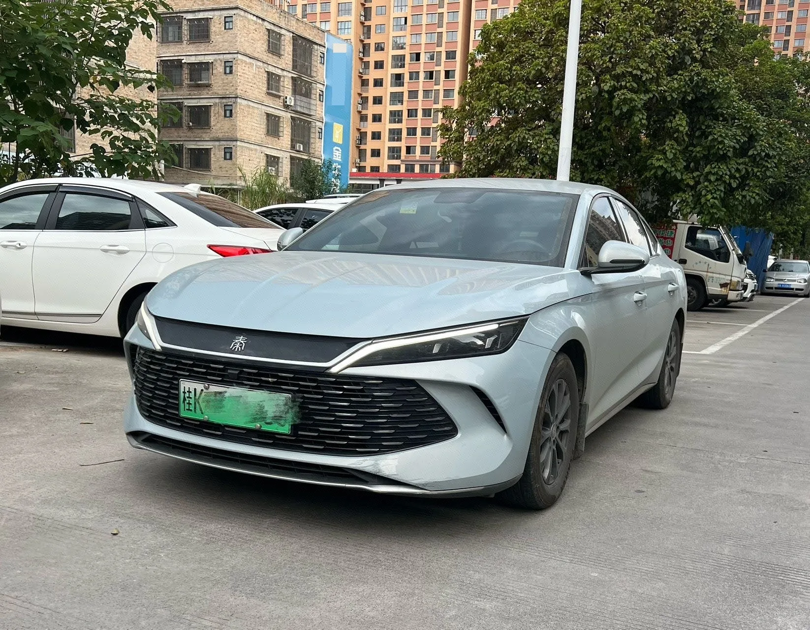 Qin L 2024 DM-i 80KM Leading Edition