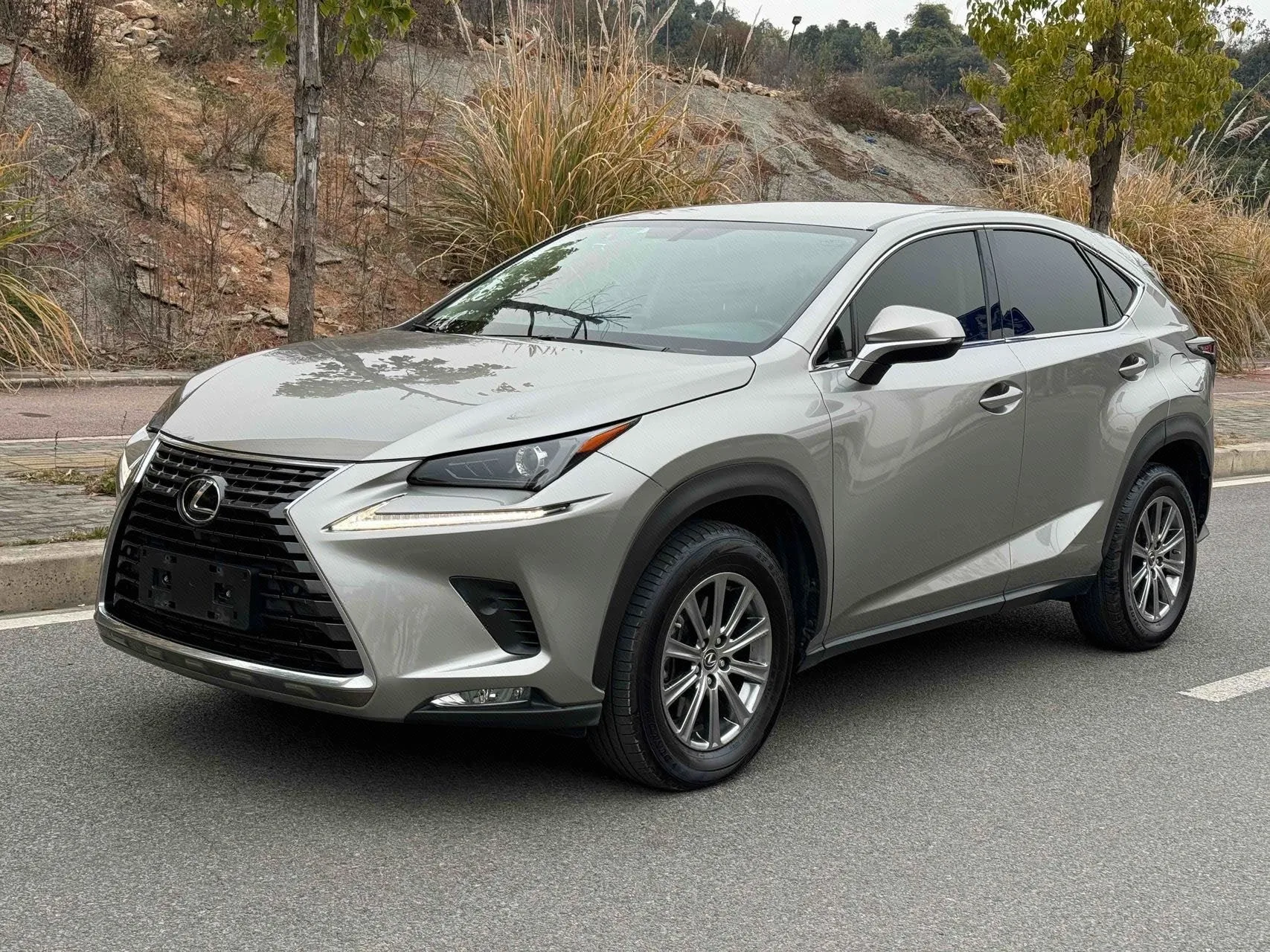 Lexus NX 2018 300 FWD Sport Edition