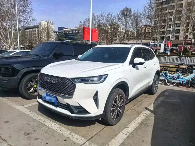 Haval 2025 H6 1.5T National Trend Urban Edition Automatic