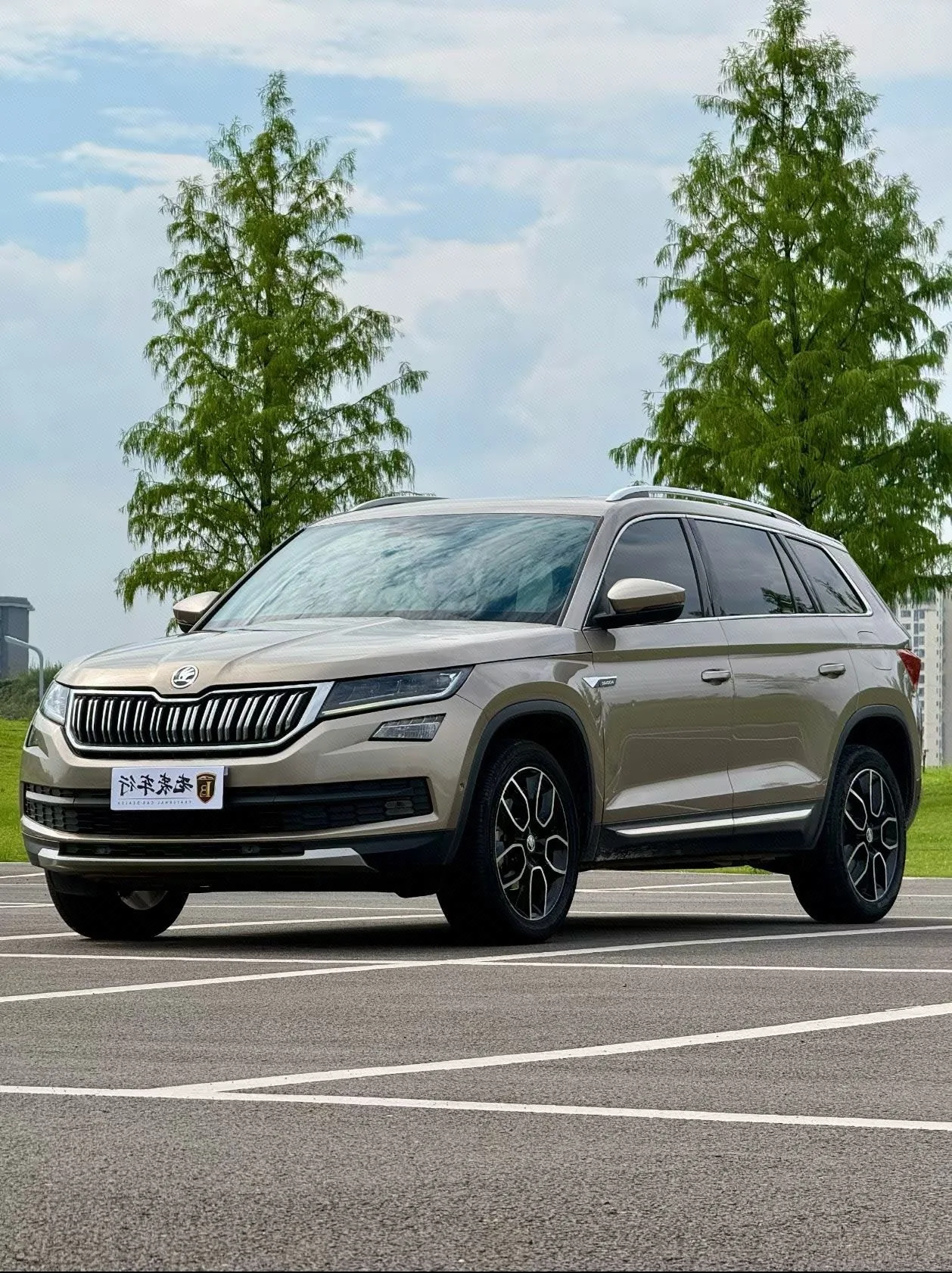 Kodiaq 2019 Facelift TSI330 5-seater 2WD Luxury Edition (National V Emission Standard)