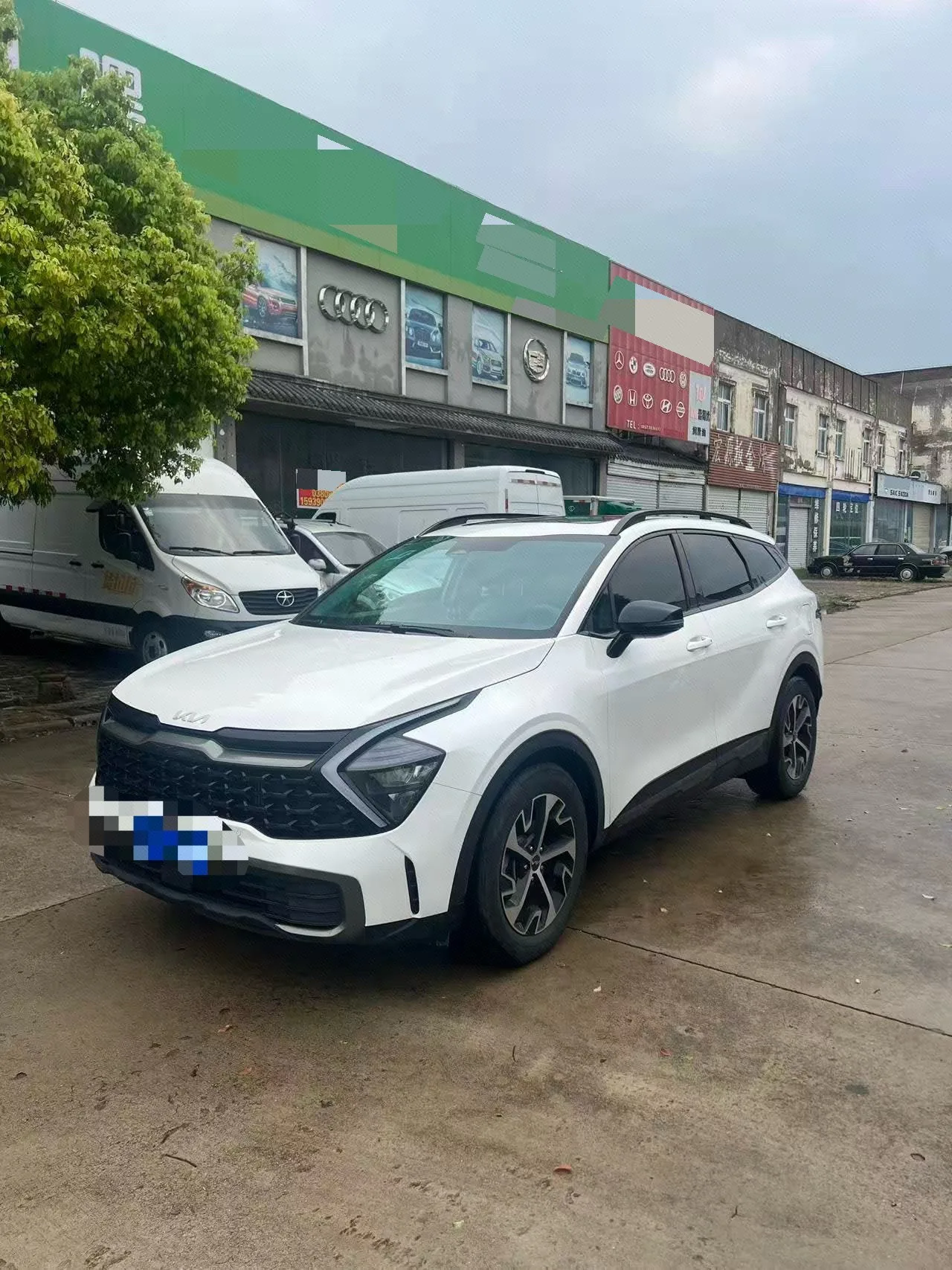 Lion Platinum Expansion 2023 1.5T 2WD Premium Edition