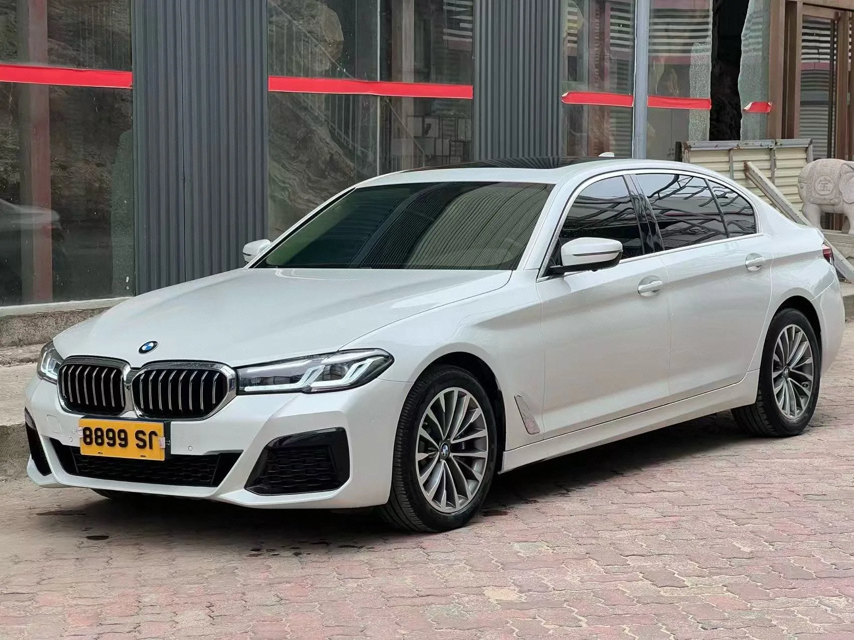 BMW 5 Series 2020 530Li Leading Luxury Package