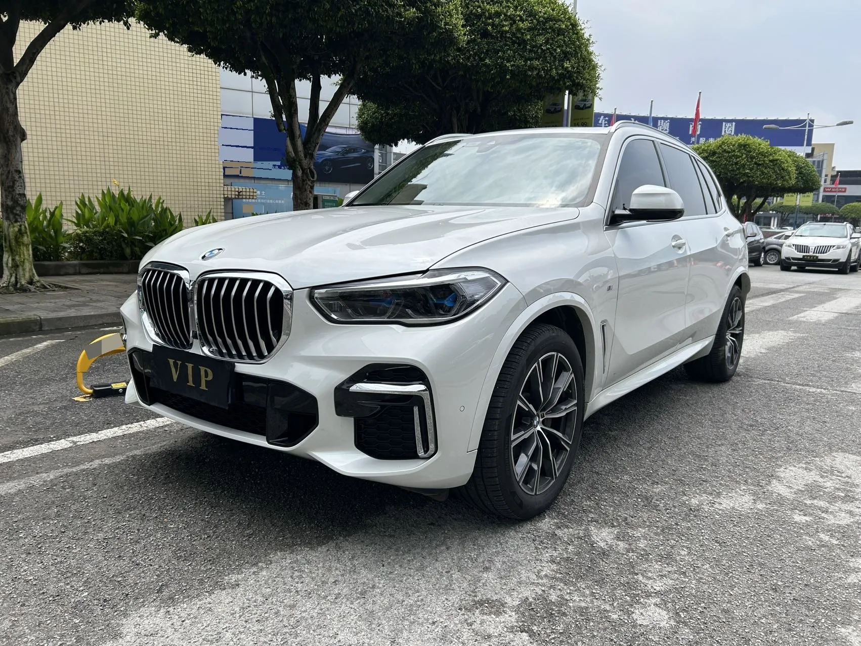 2022 BMW X5 Facelift xDrive 30Li M Sport Package