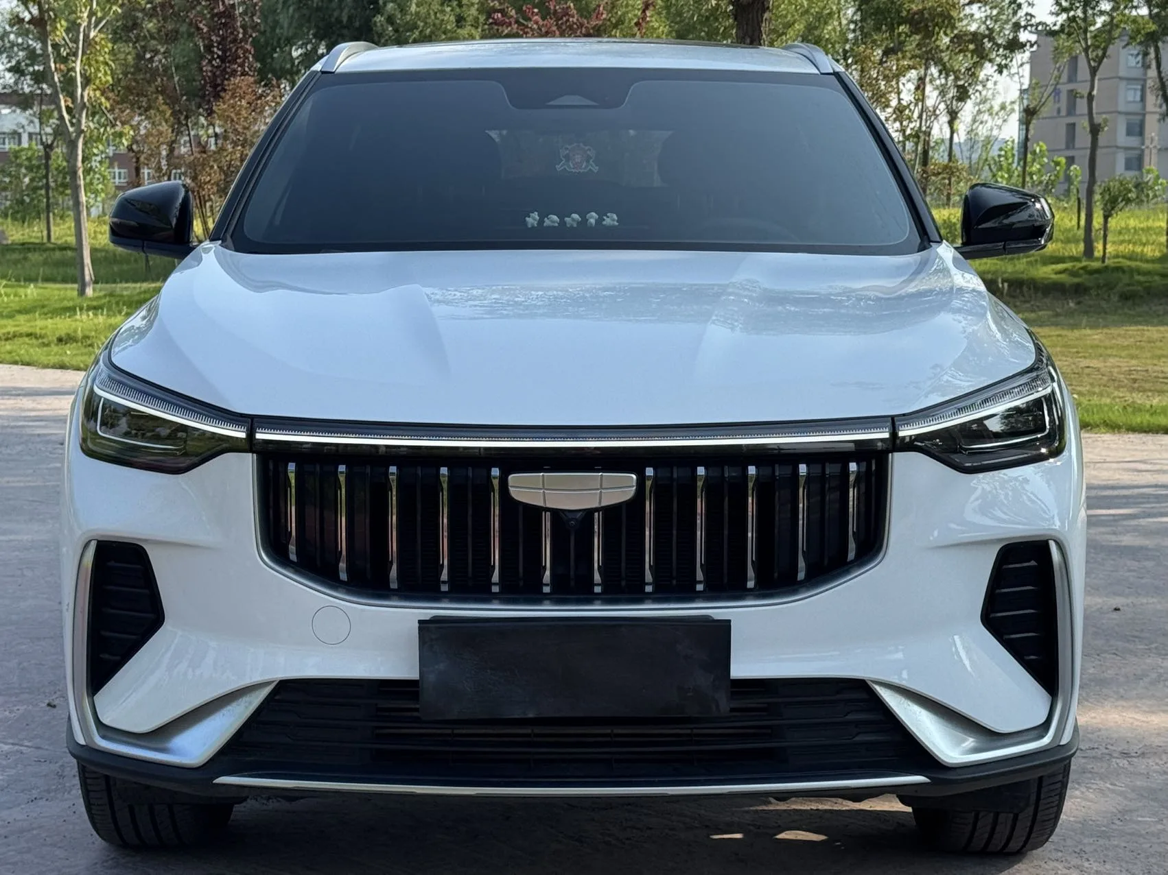 Geely 2026 Boyue 1.5TD Beautiful Automatic