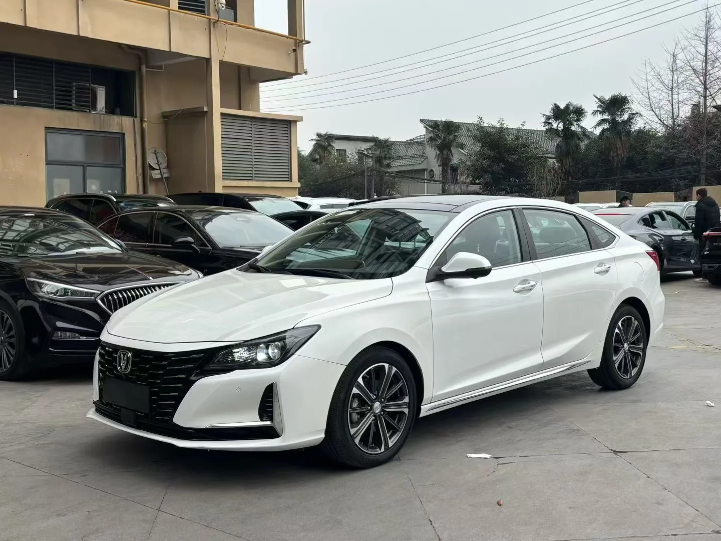 2022 Ruicheng CC Blue Whale Edition 1.5T DCT Premium