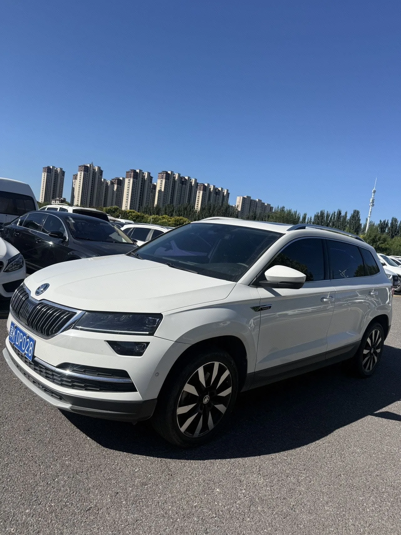 Karoq 2018 TSI280 Flagship Edition (National V Emission Standard)